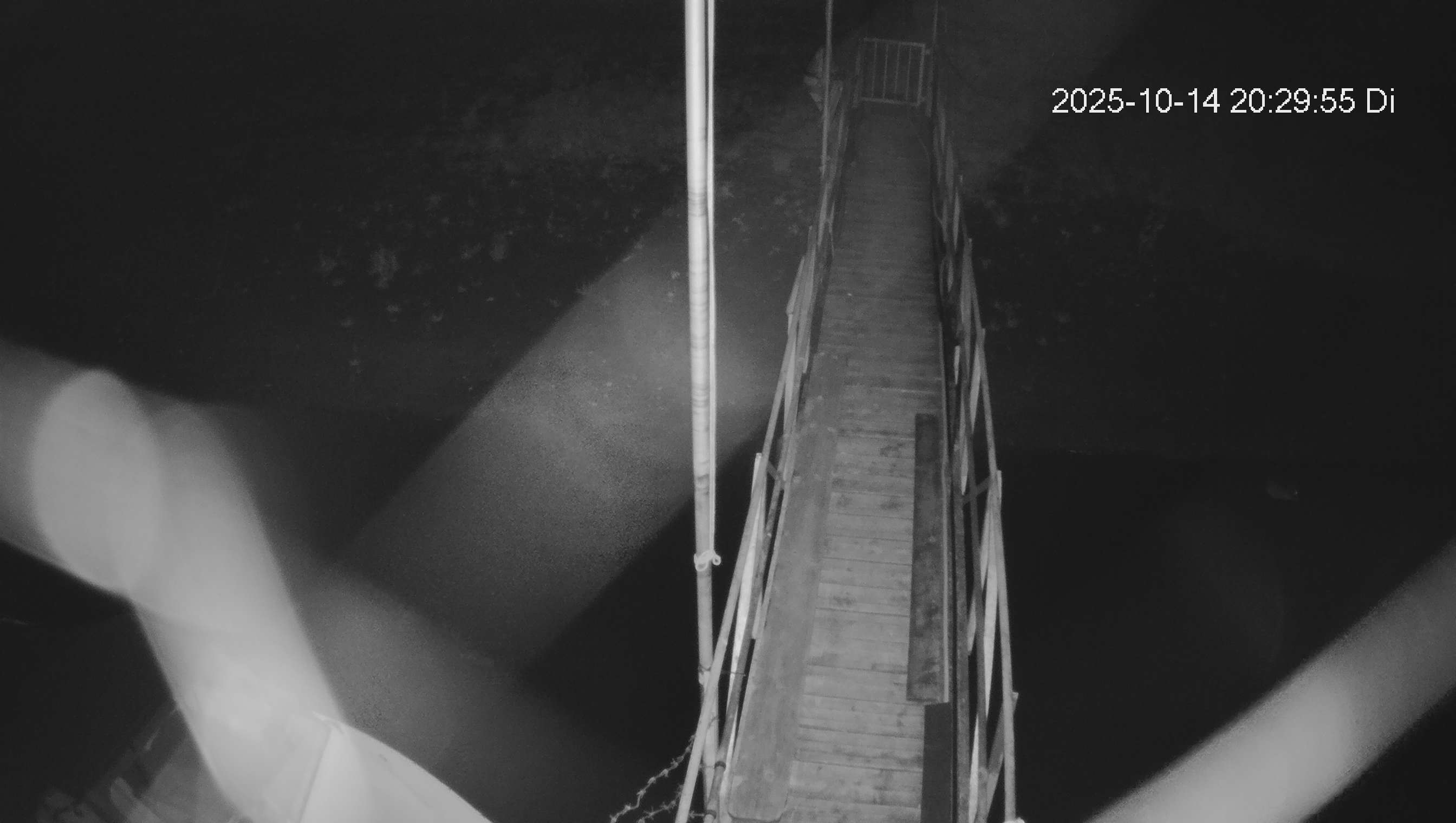 Webcam img missing